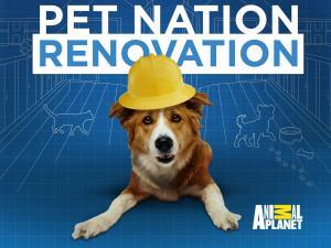 AP Pet renovation