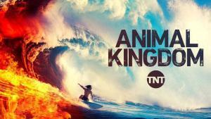 animal kingdom